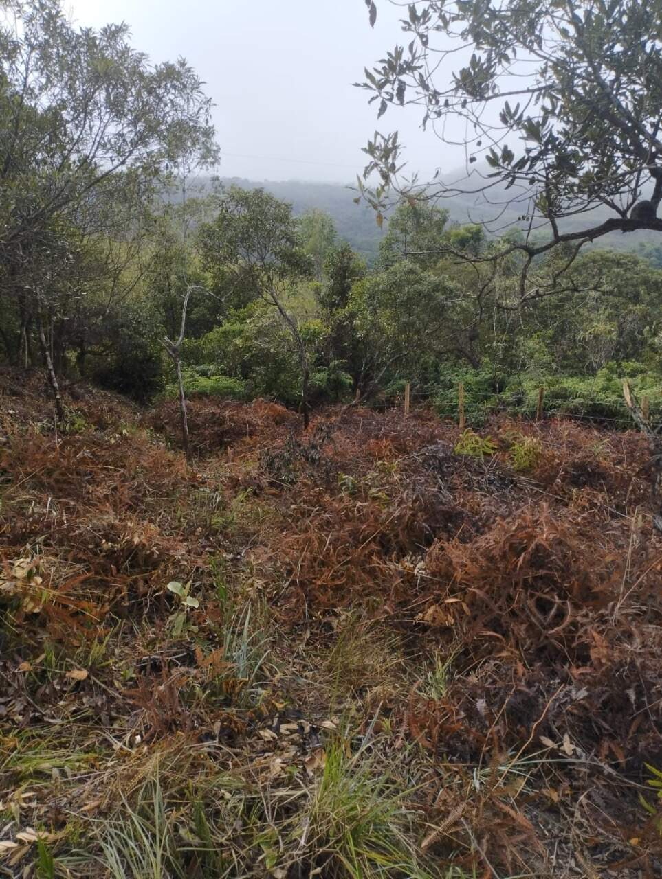 Lote à venda no Chapada: 