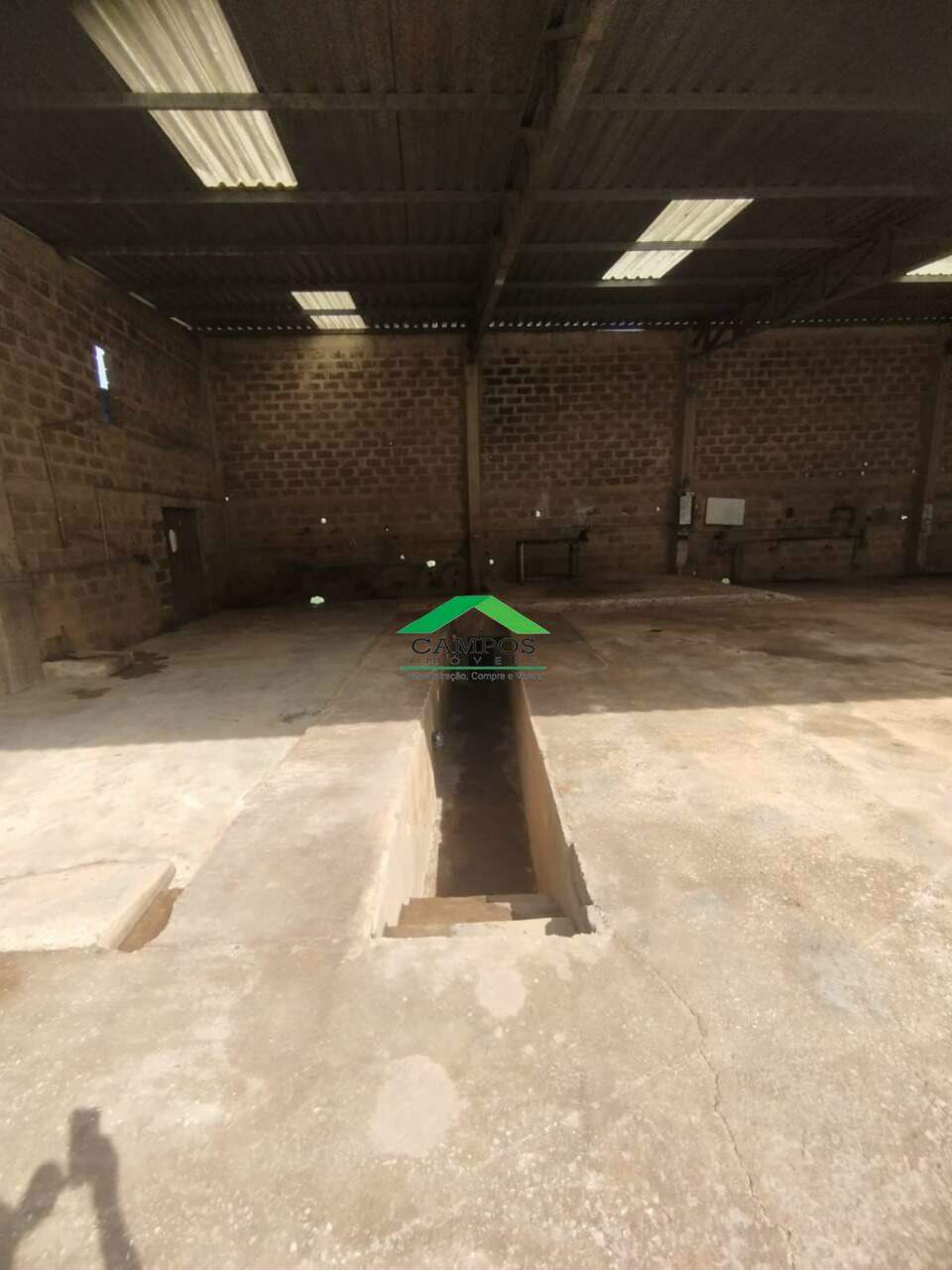 Galpão para aluguel no Taquaral: 