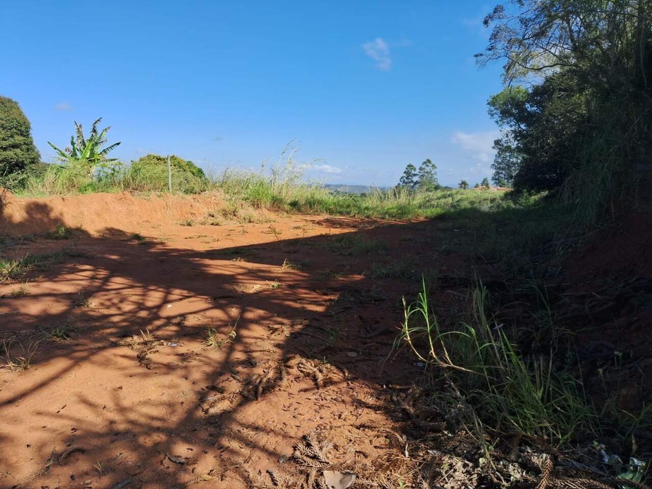 Lote à venda no Carreiras: 