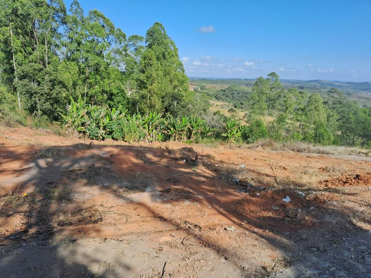 Lote à venda no Carreias: 