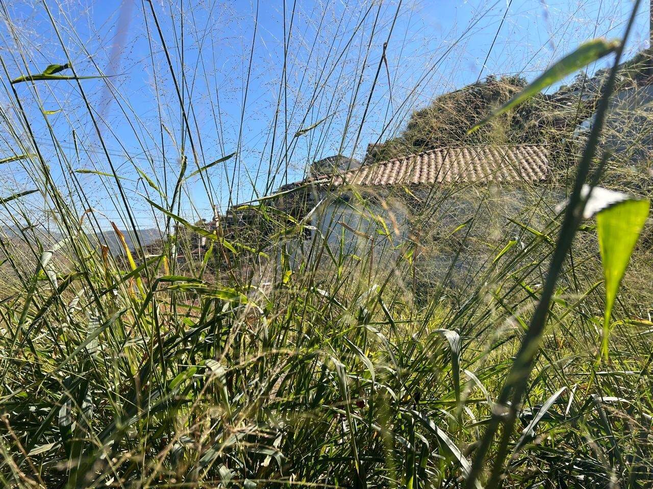 Lote à venda no Treze de Maio: 