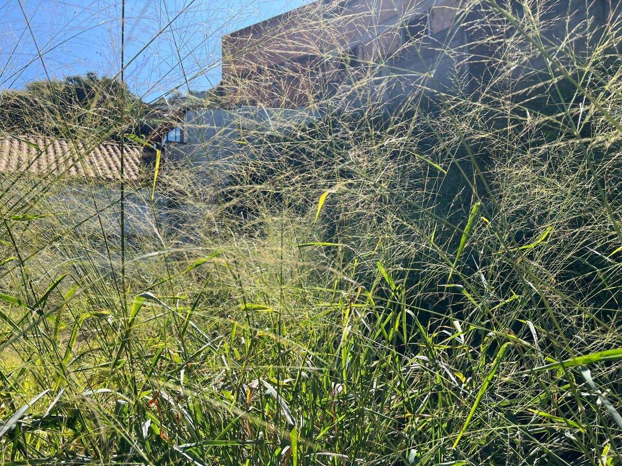 Lote à venda no Treze de Maio: 