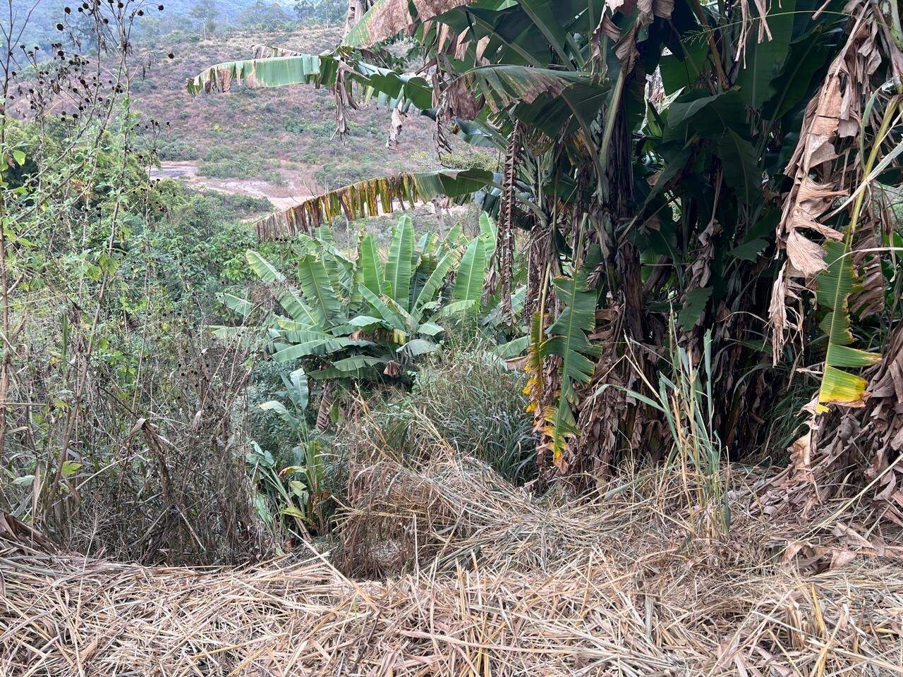 Lote à venda no Passagem De Mariana: 