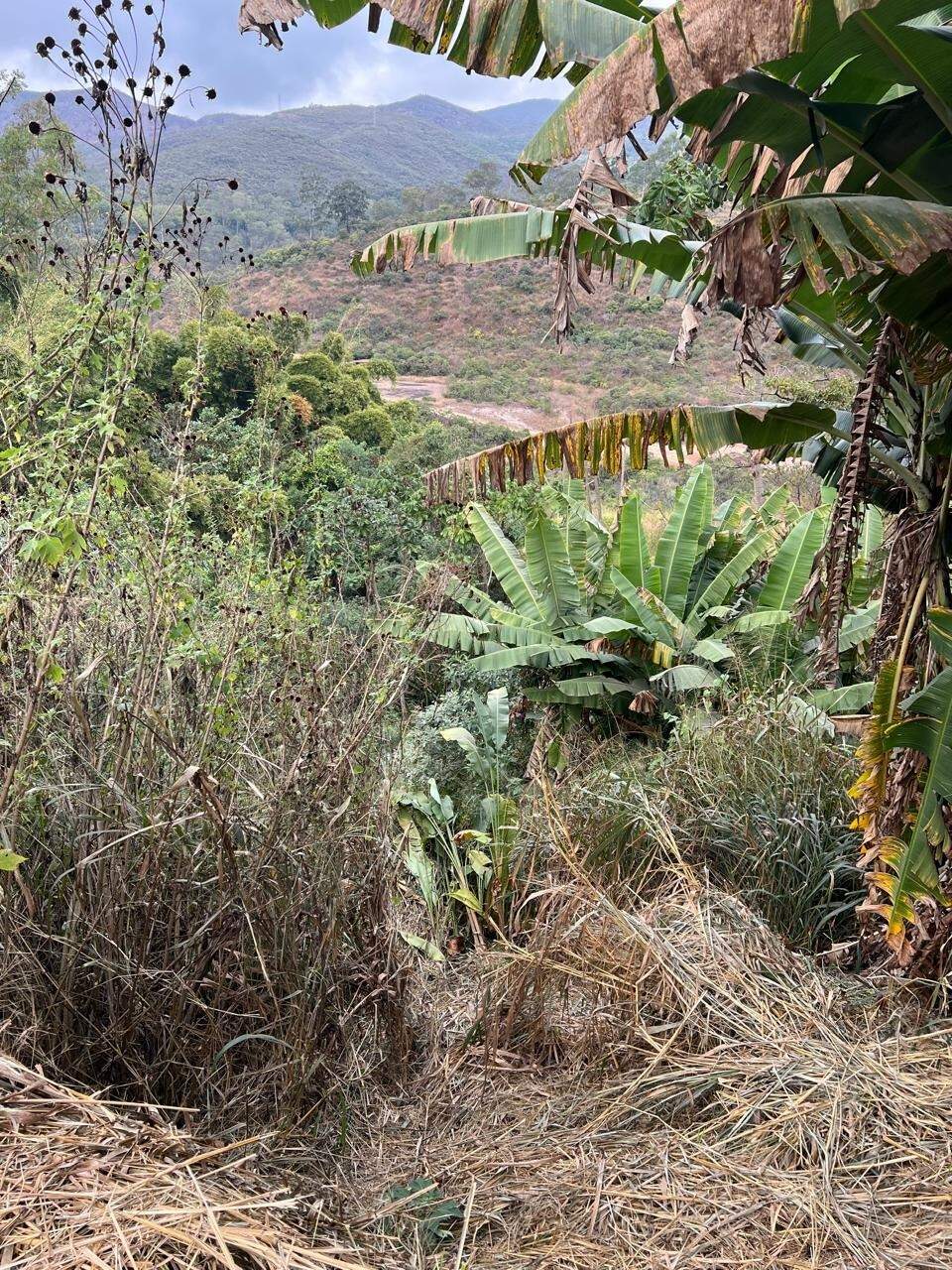 Lote à venda no Passagem De Mariana: 