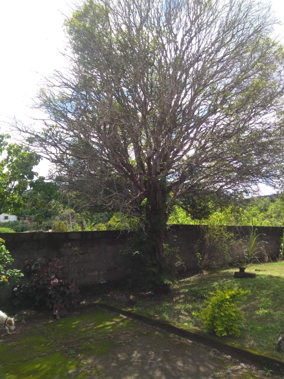 Casa à venda no Antonio Pereira: 