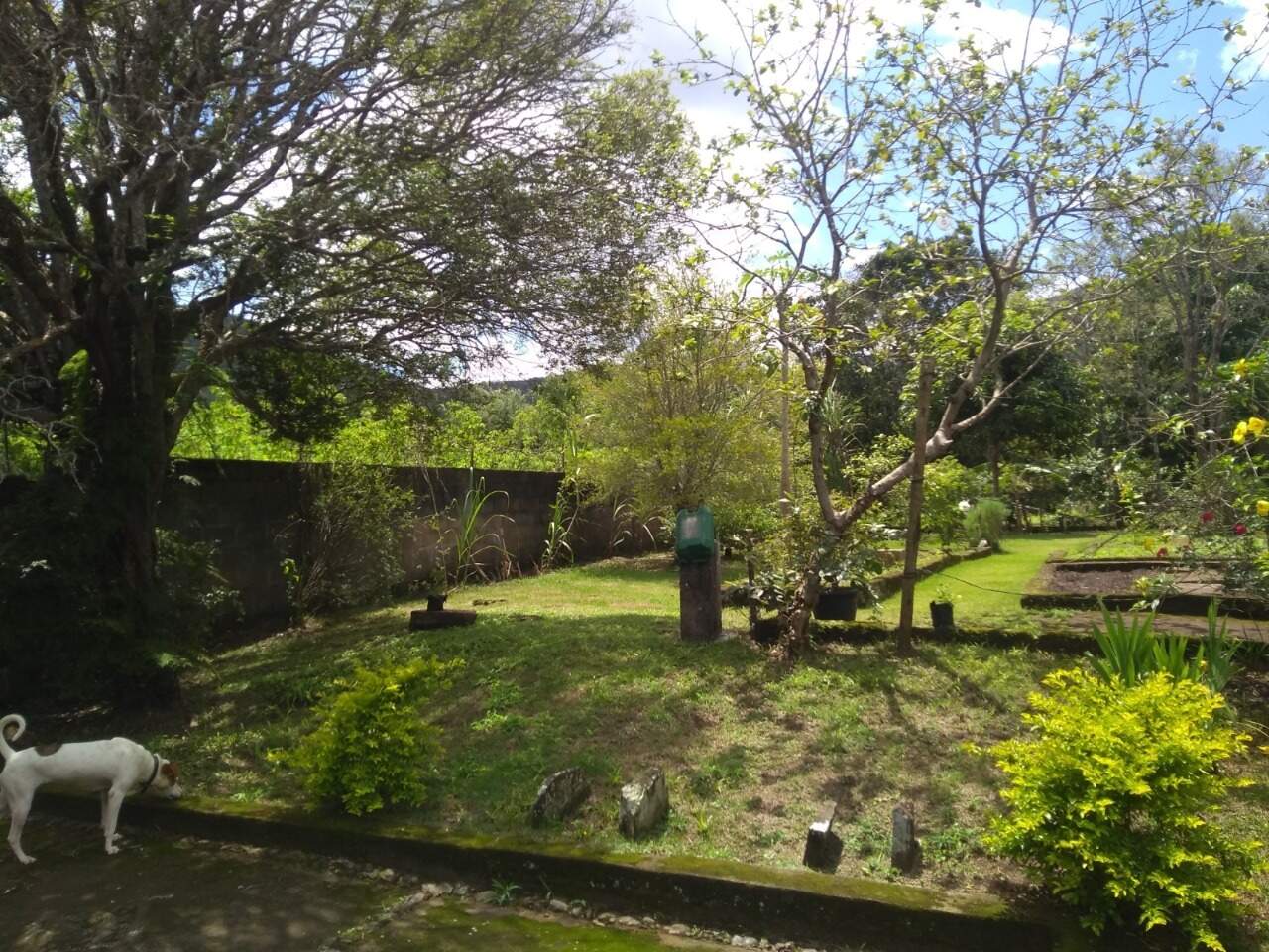 Casa à venda no Antonio Pereira: 