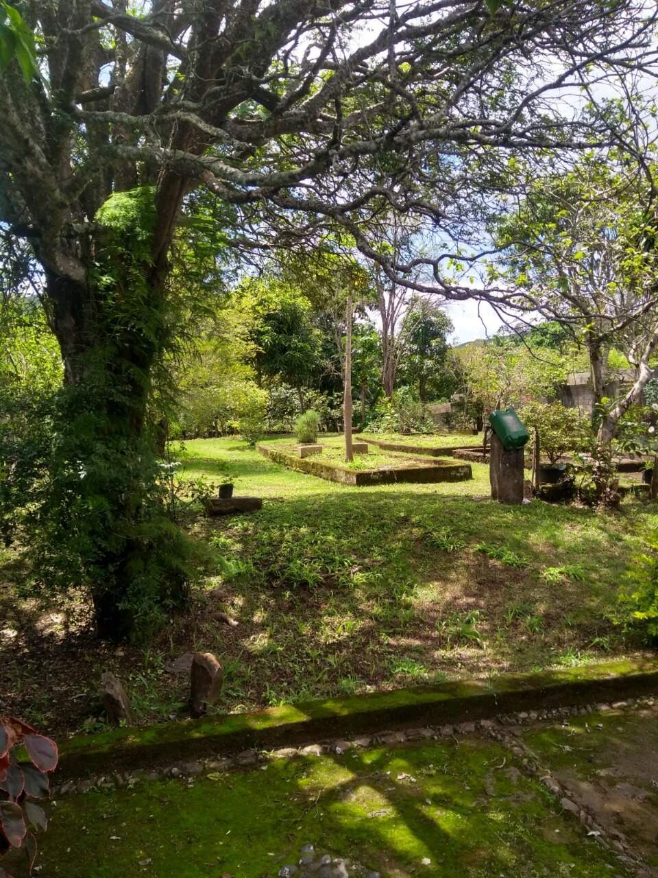 Casa à venda no Antonio Pereira: 