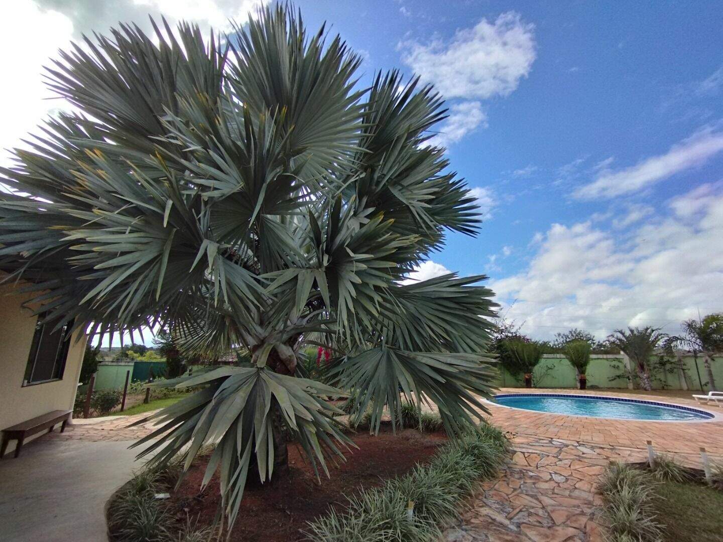 Sítio à venda no Recanto Serra Azul: 