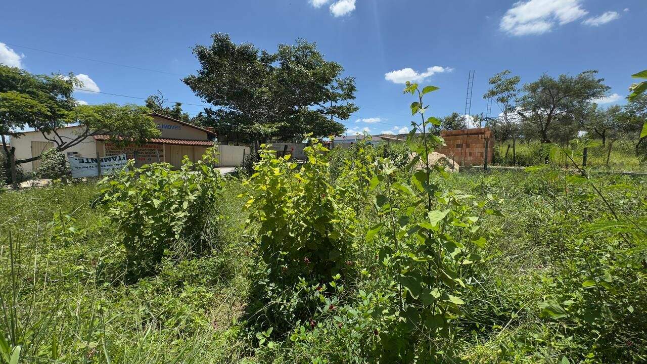 Terreno à venda no Santa Ana I: 