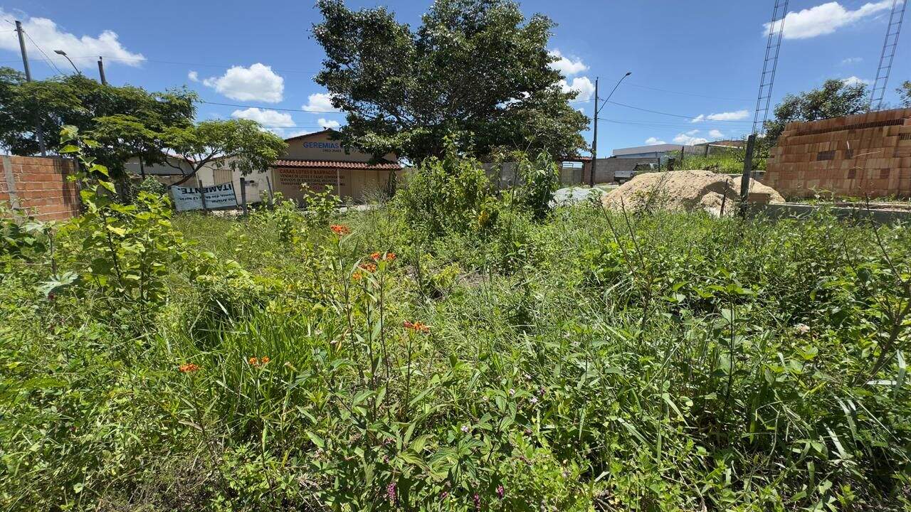 Terreno à venda no Santa Ana I: 