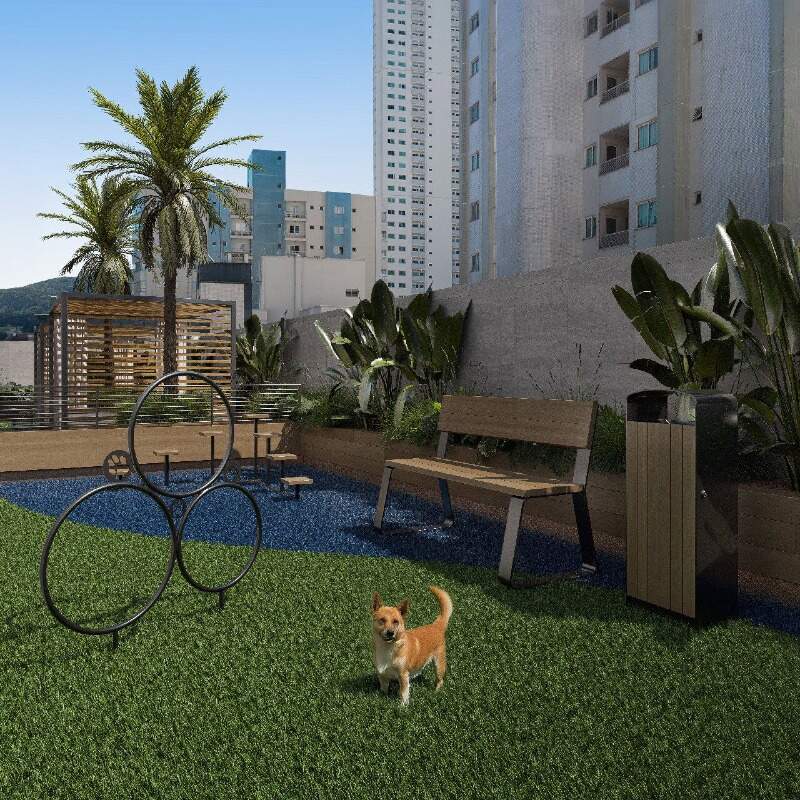 Pet place (imagem ilustrativa)