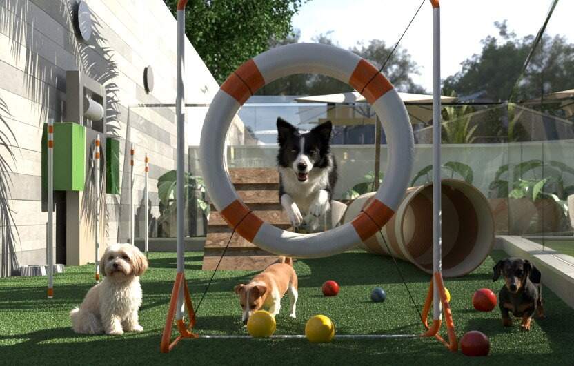 Pet place do projeto (imagem ilustrativa)