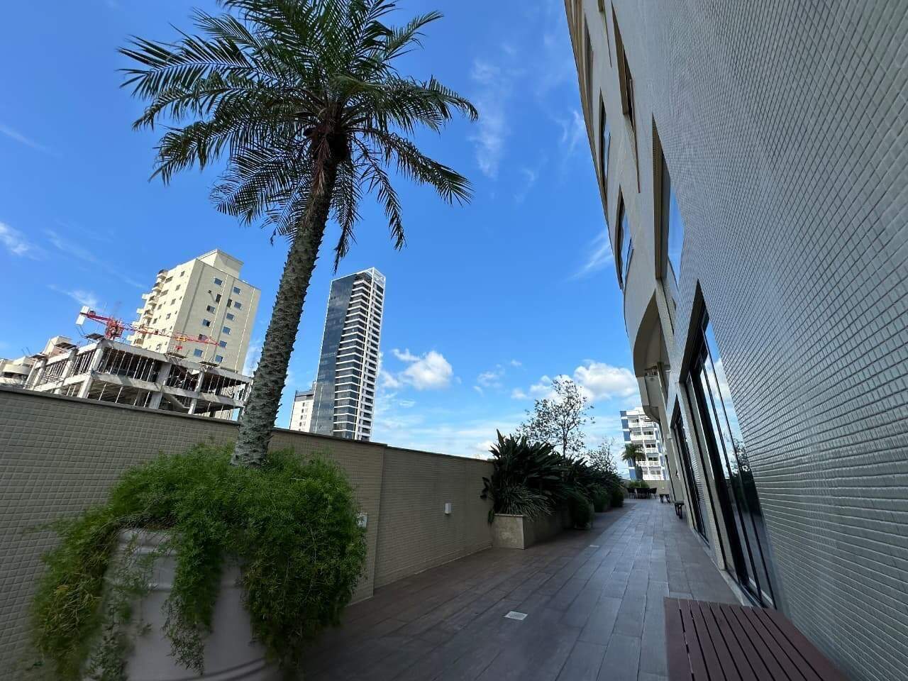 Circulação externa do lazer, com palmeira e jardineiras