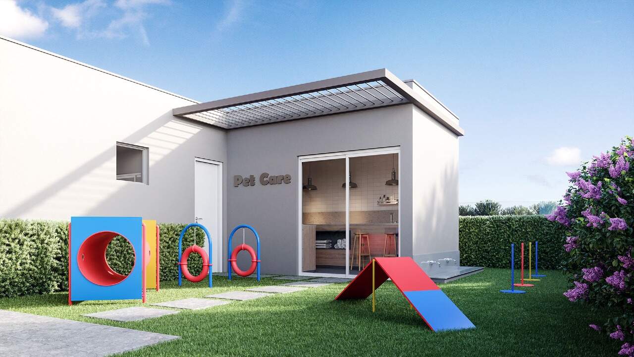 Pet care com circuito de obstáculos para cães (imagem ilustrativa)