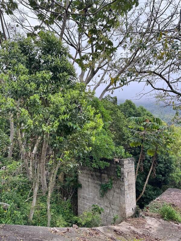 Lote/Terreno de 424m² no bairro Praia das Taquaras, em Balneário Camboriú | Eu Corretor