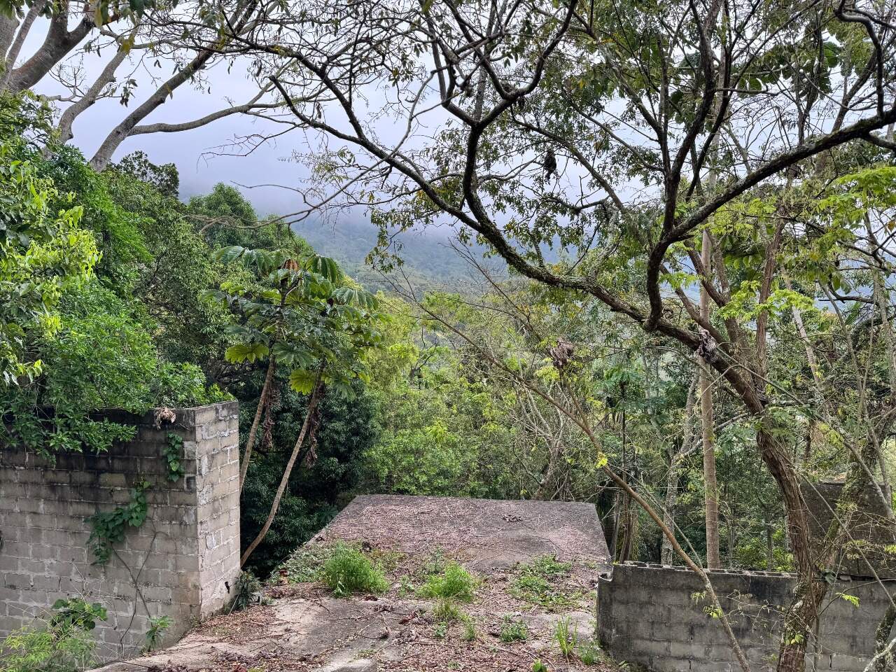 Lote/Terreno de 424m² no bairro Praia das Taquaras, em Balneário Camboriú | Eu Corretor