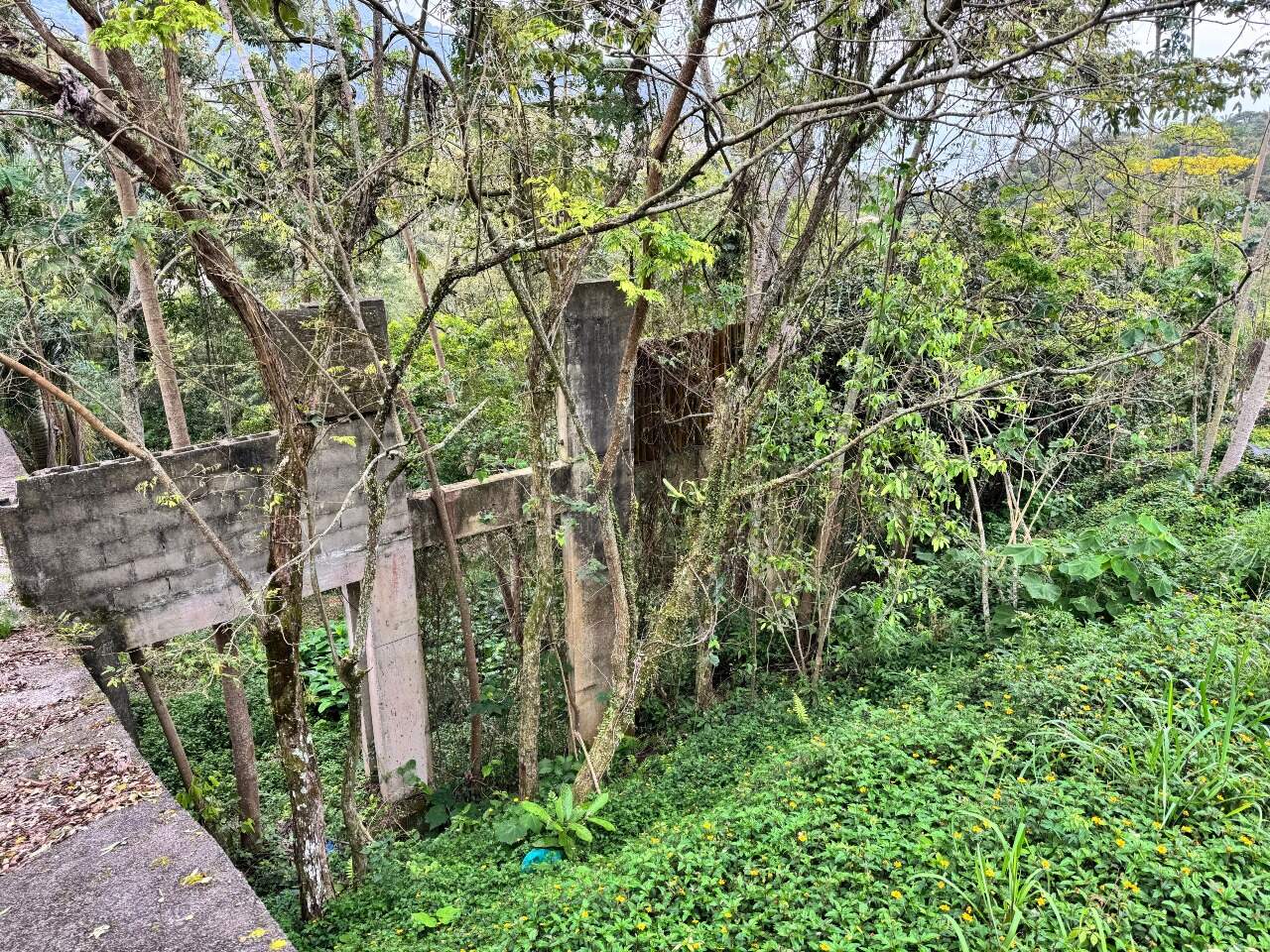 Lote/Terreno de 424m² no bairro Praia das Taquaras, em Balneário Camboriú | Eu Corretor