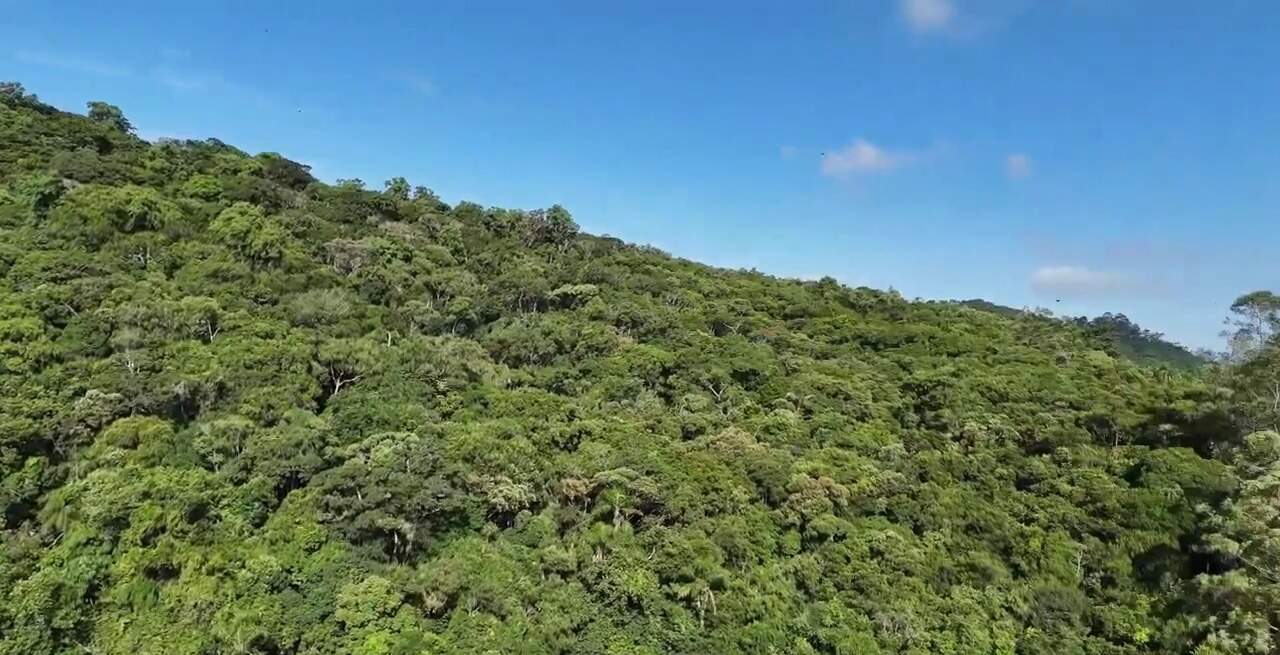 Apartamento à venda no Fazenda: Mata Atlântica do Parque Natural Municipal do Atalaia, vizinha ao prédio (foto de drone)