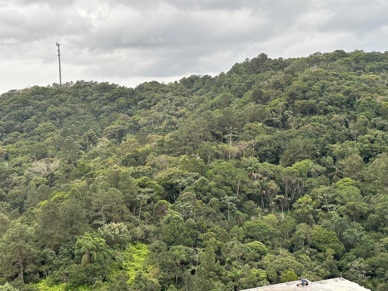 Apartamento à venda no Pioneiros: 