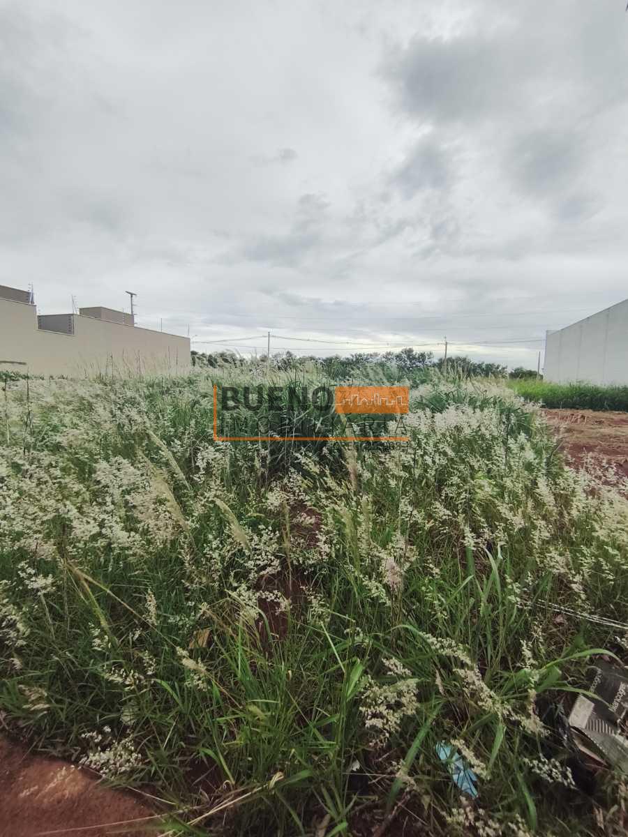 Terreno à venda no Reserva Centenária: 