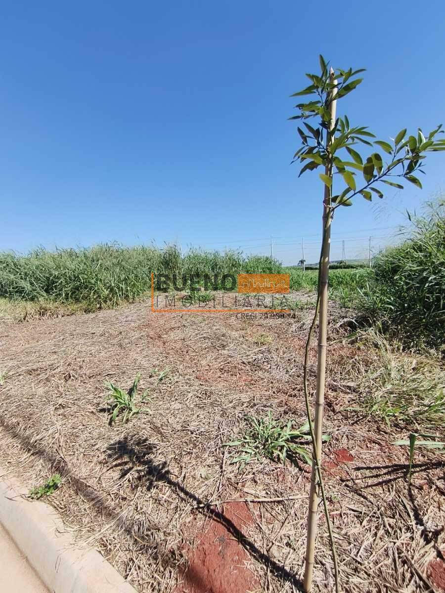 Terreno à venda no Residencial Cachoeira: 