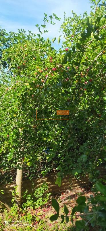 Chácara à venda no Bairro do Porto: 