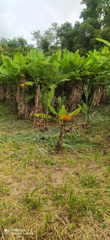 Chácara à venda no Bairro do Porto: 