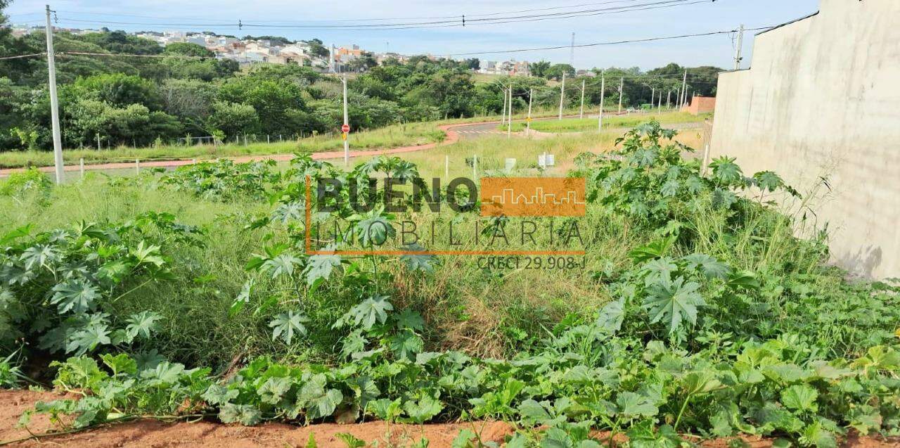 Terreno à venda no Jardim Terrazul AM: 