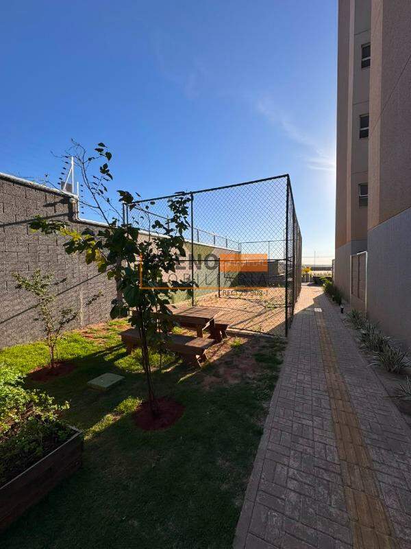 Apartamento para aluguel no Residencial Dona Margarida: 