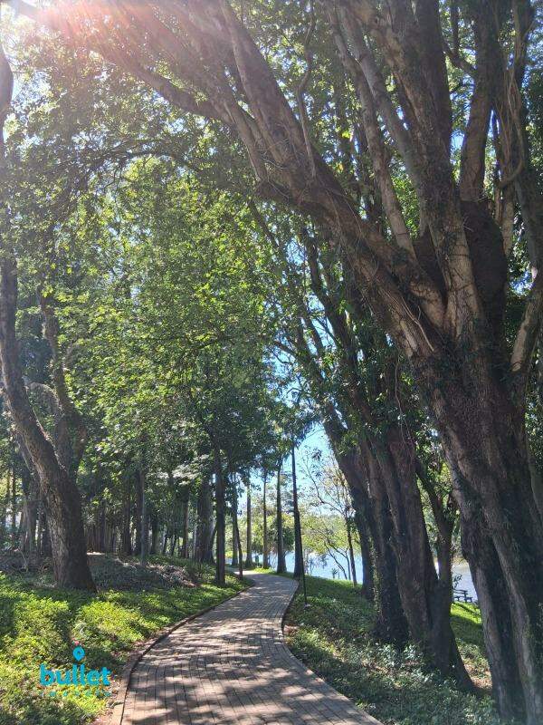 Lote à venda no Boa Esperança: 