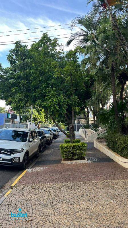 Apartamento à venda no bairro Cambuí: 