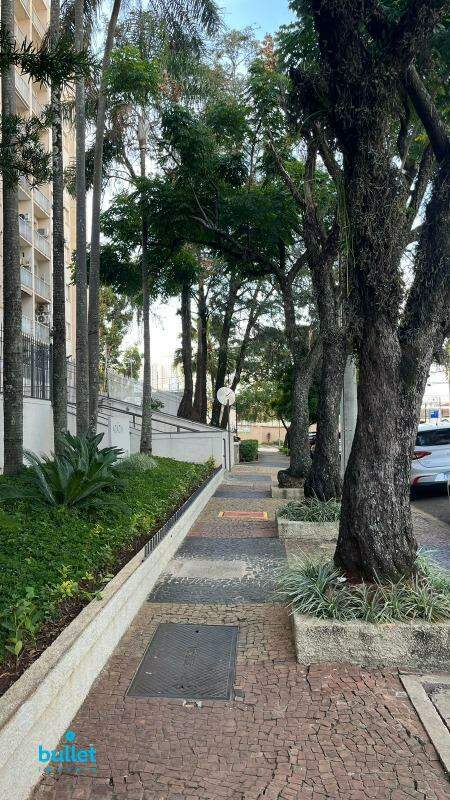 Apartamento à venda no bairro Cambuí: 