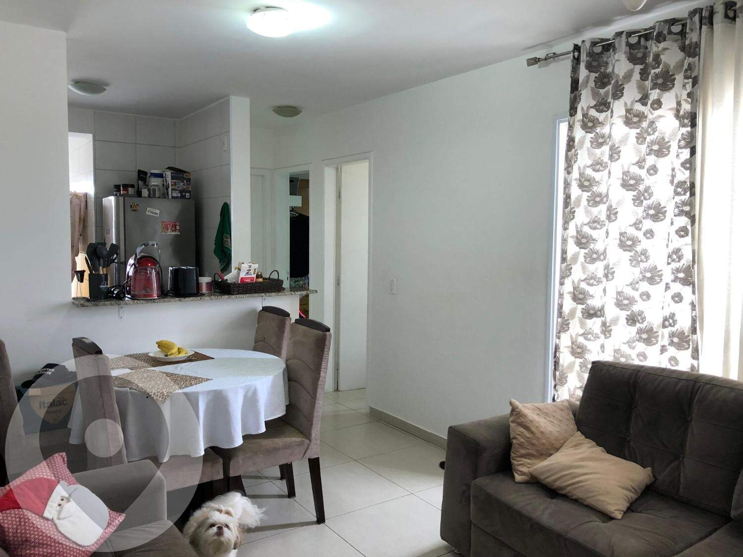 Apartamento para aluguel no bairro Jardim Nova Europa: 