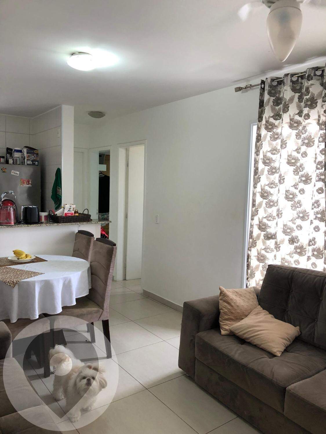 Apartamento para aluguel no bairro Jardim Nova Europa: 