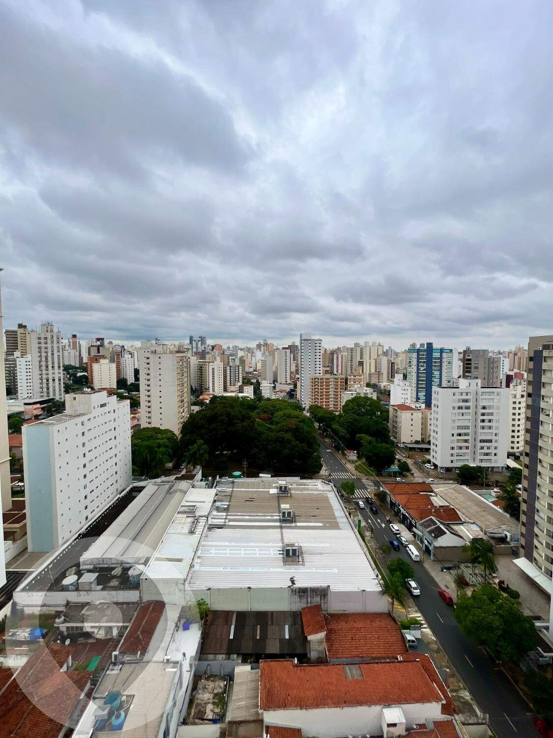 Apartamento para aluguel no bairro Cambuí: 
