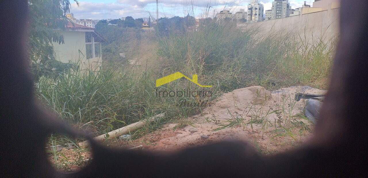 Lote à venda no Palmeiras: 