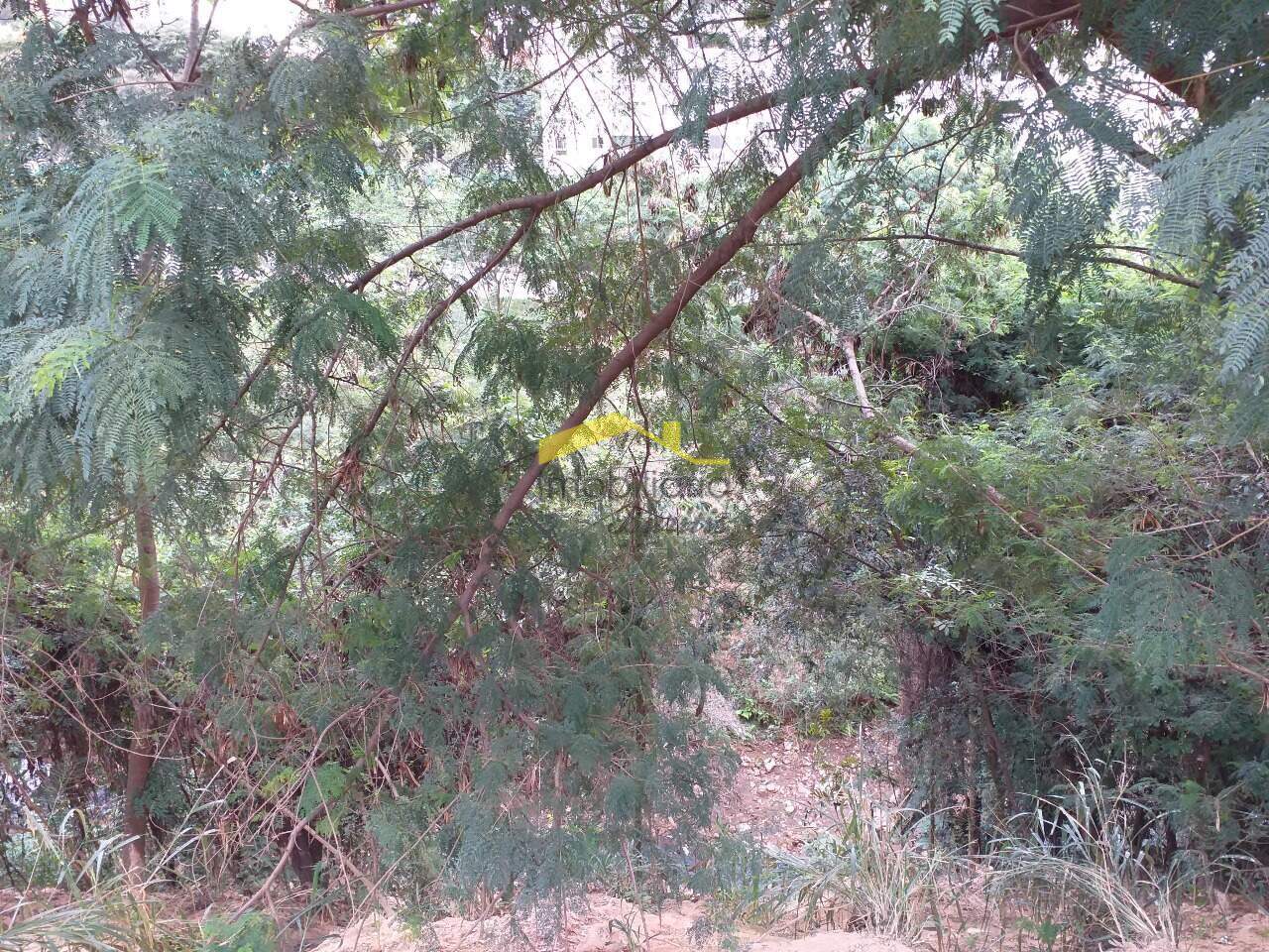 Lote à venda no Estoril: 