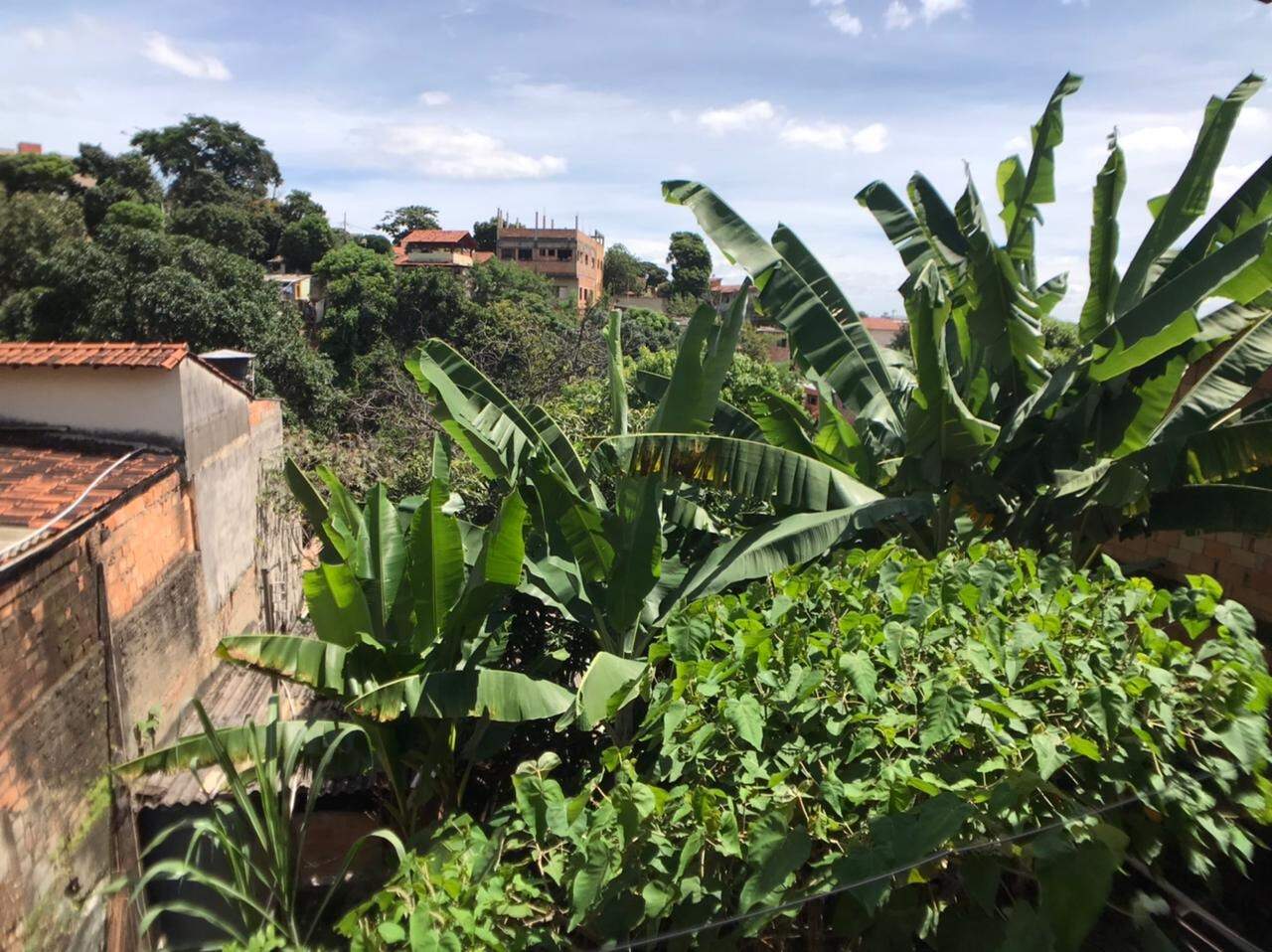 Lote à venda no Palmeiras: 