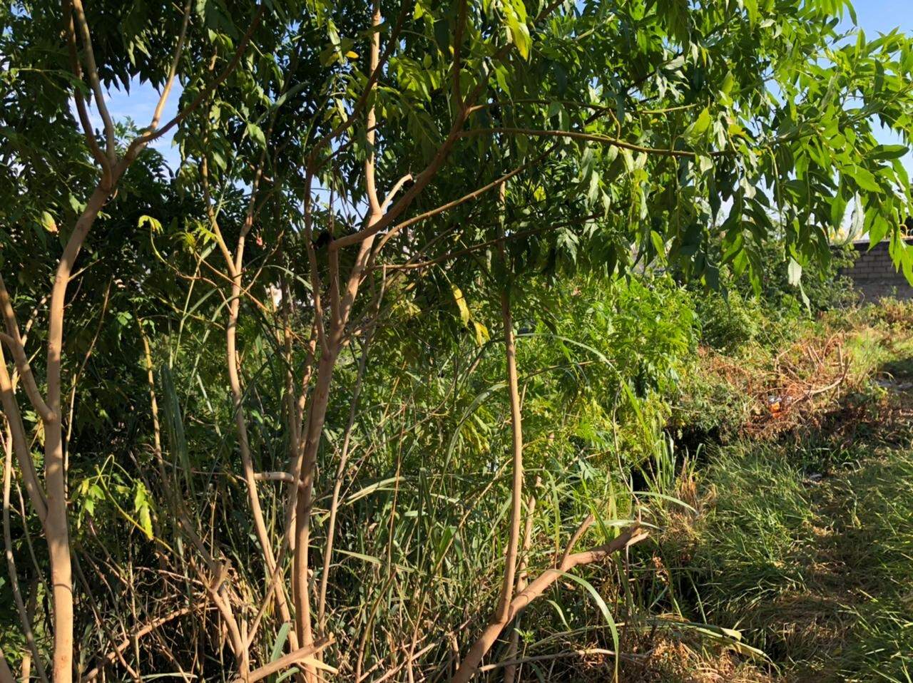 Lote à venda no Estoril: 