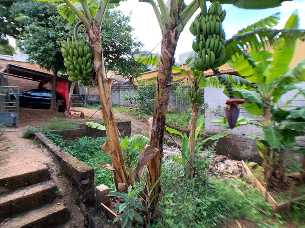 Lote à venda no Jardim América: 