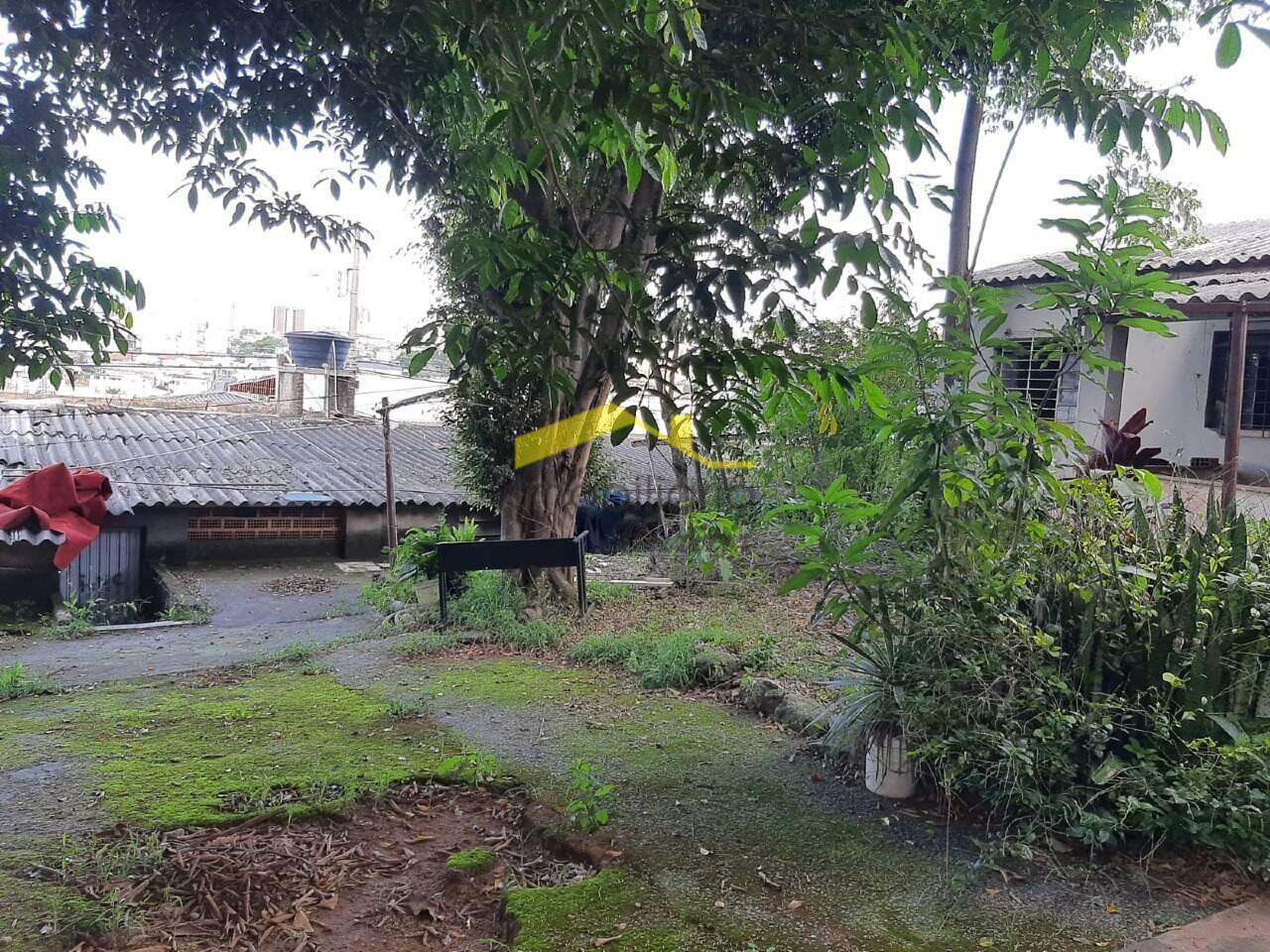 Lote à venda no Jardim América: 