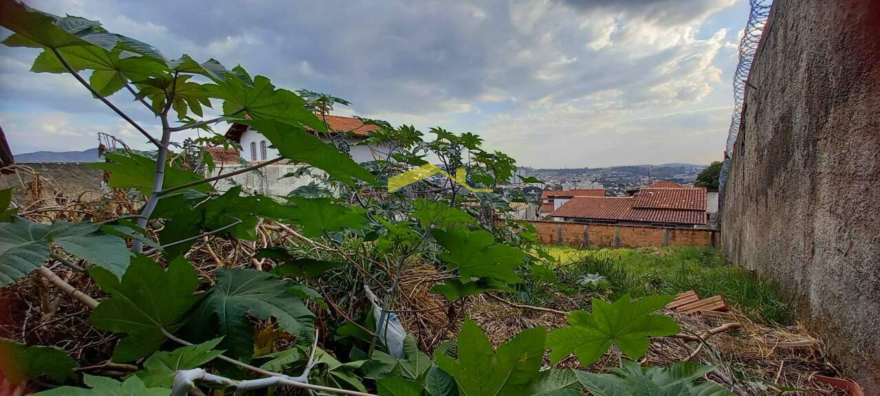 Lote à venda no Havaí: 