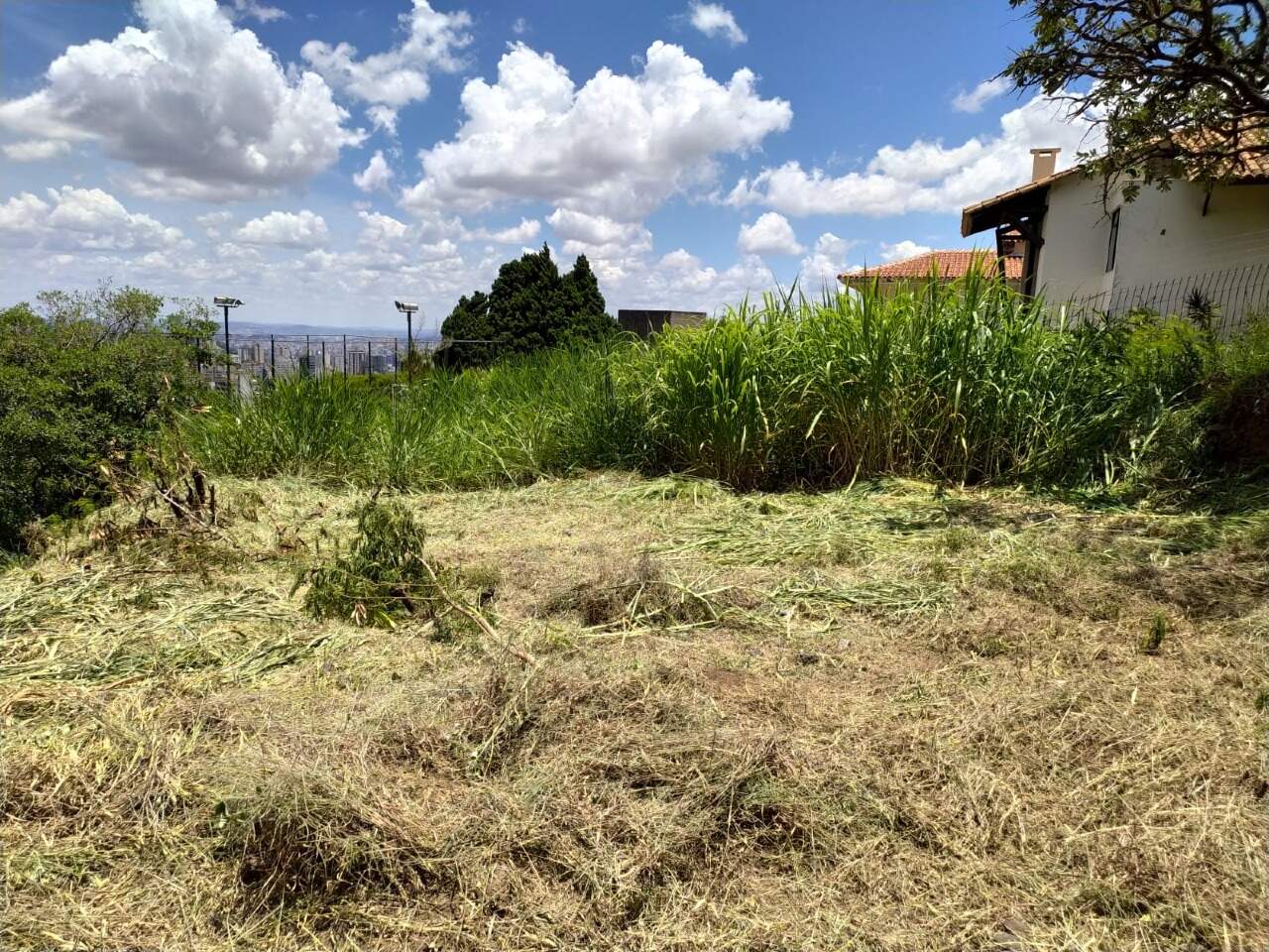 Lote à venda no Comiteco: 