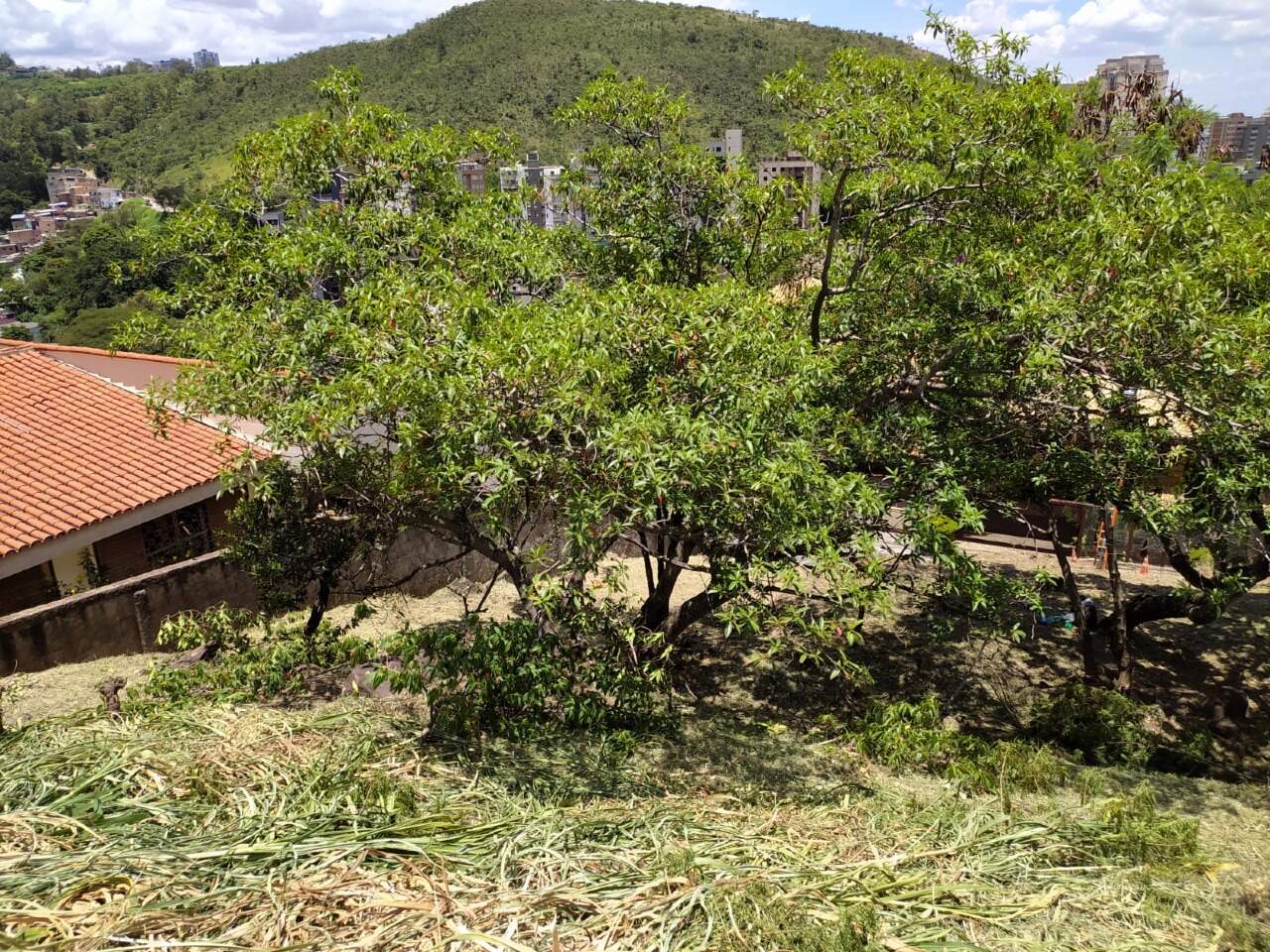 Lote à venda no Comiteco: 