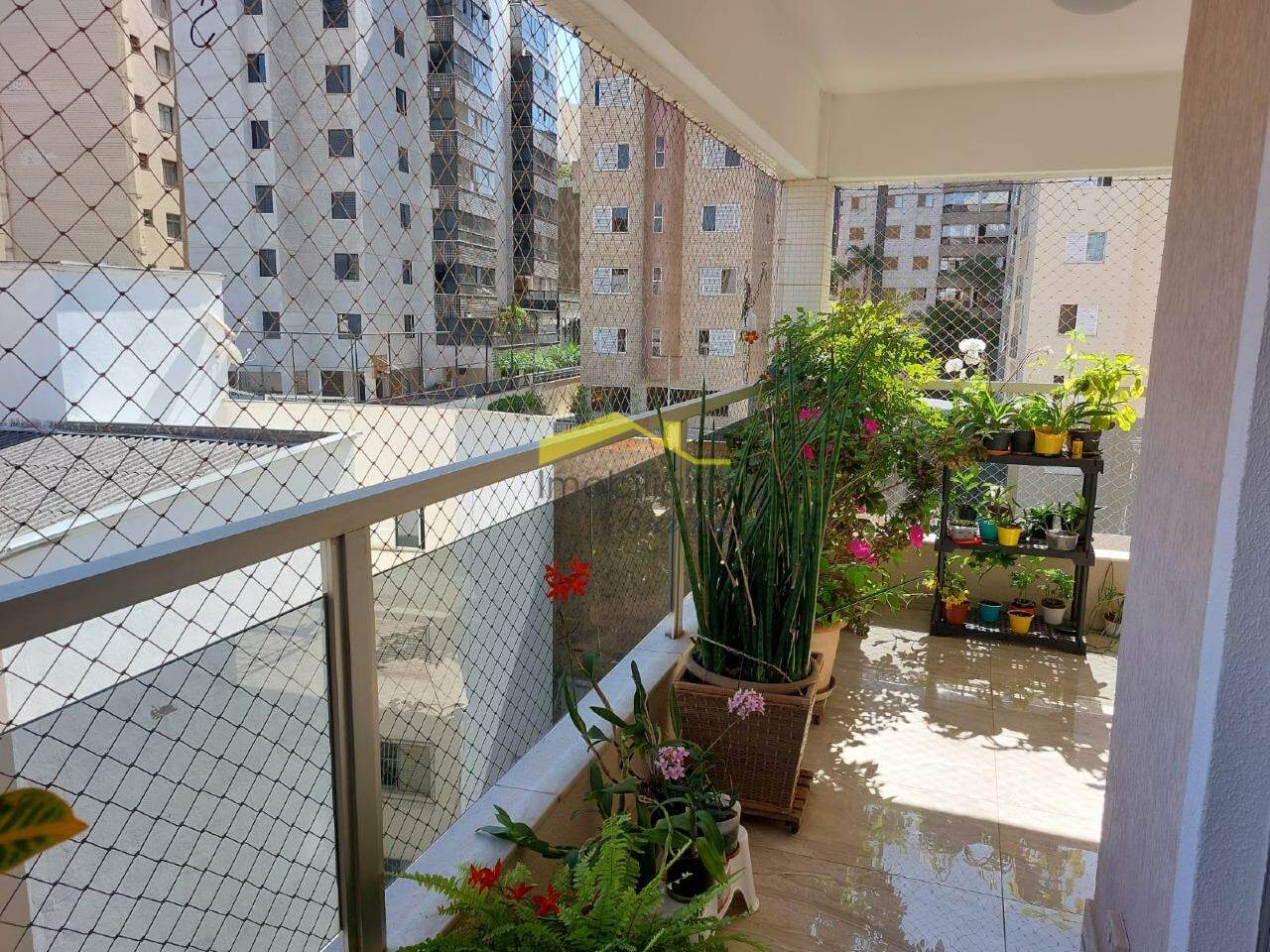 Cobertura à venda no Buritis: 