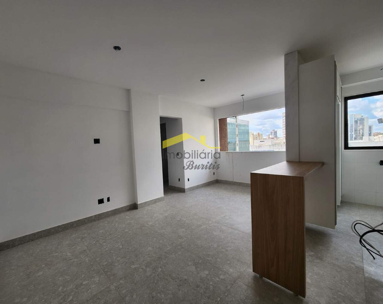 Apartamento à venda no Santa Efigênia: Sala e Cozinha Americana