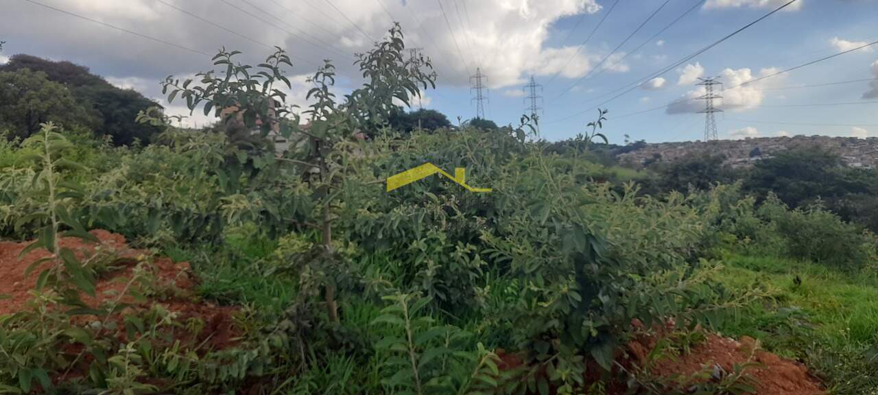 AREA à venda no Bonsucesso: 