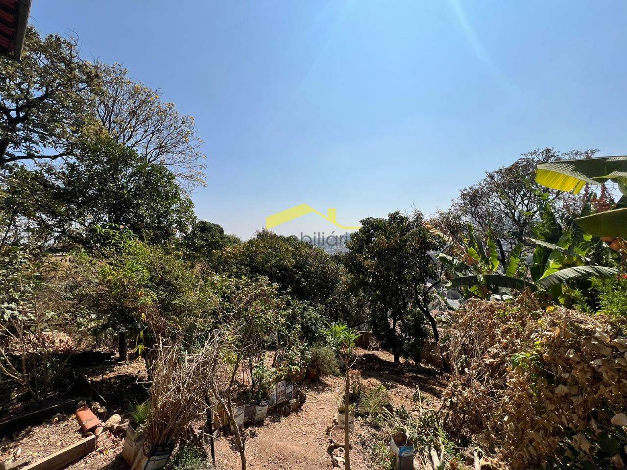 Lote à venda no Palmeiras: 