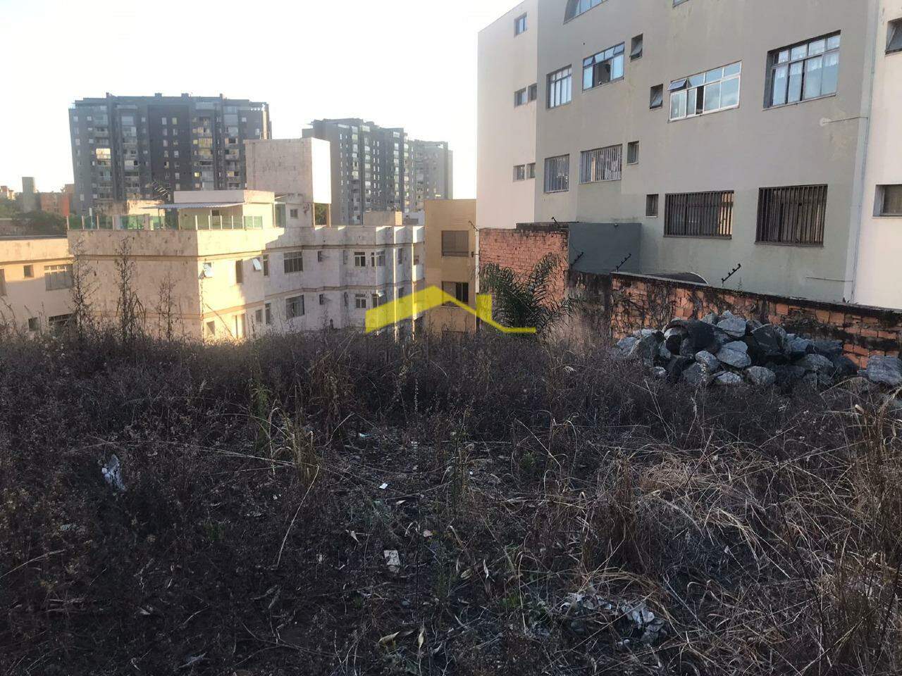 Terreno / Área para aluguel no Estoril: 