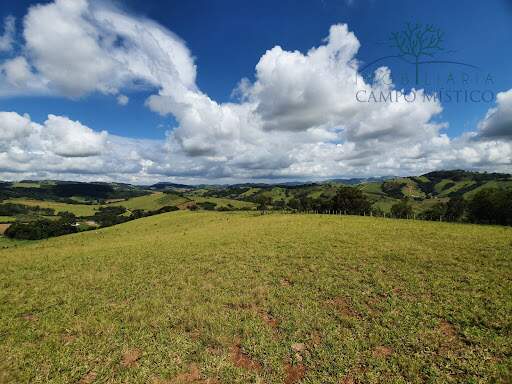 Sítio à venda no Bom Jardim: 